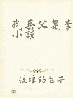 我岳父是李世民小说