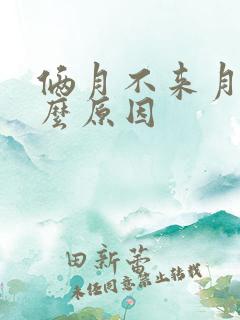 俩月不来月经什么原因