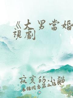 《大男当婚》电视剧