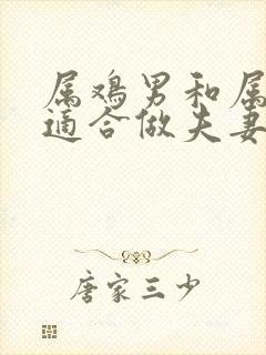 属鸡男和属虎女适合做夫妻吗