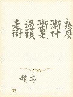 走过渐渐熟悉的街头是什么歌