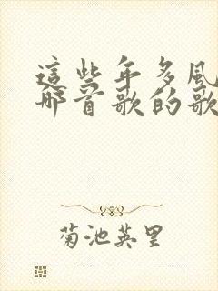 这些年多风雨是哪首歌的歌词