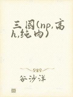 三国(np,高h,纯肉)