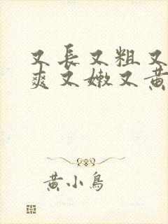 又长又粗又硬又爽又嫩又黄毛片