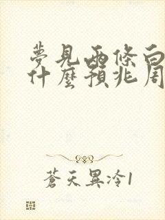 梦见两条白蛇是什么预兆周公解梦