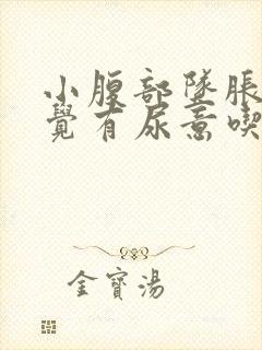 小腹部坠胀老感觉有尿意吃什么药