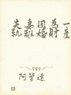 夫妻因为一方出轨离婚财产怎么分配