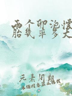 两个卵泡怀双胞胎几率多大