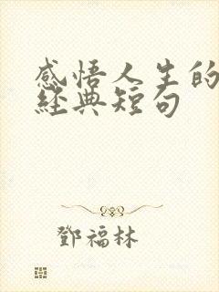 感悟人生的句子经典短句