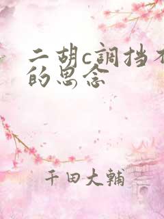 二胡c调挡不住的思念