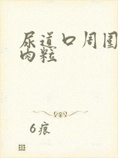 尿道口周围有小肉粒