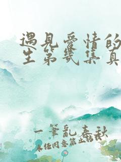 遇见爱情的利先生第几集真相大白