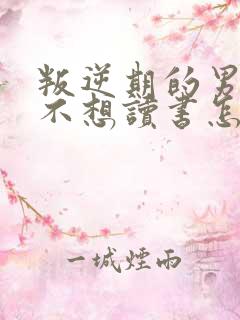 叛逆期的男孩子不想读书怎么办