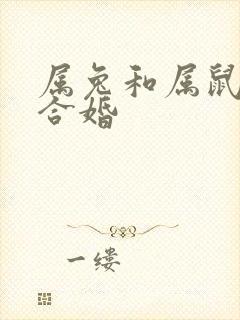 属兔和属鼠合不合婚