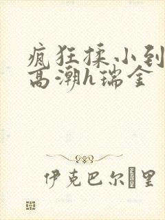 疯狂揉小到失禁高潮h瑞金