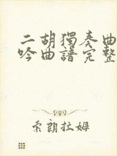 二胡独奏曲葬花吟曲谱完整版