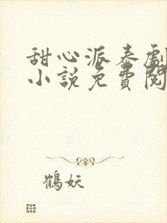 甜心派泰剧原著小说免费阅读