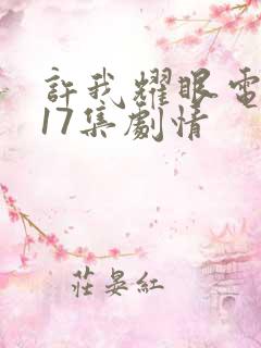 许我耀眼电视剧17集剧情