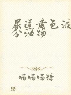 尿道黄色液体性分泌物