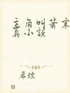 主角叫萧寒的修真小说