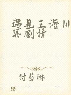 遇见王沥川38集剧情