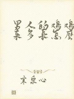 男人的鸡鸡硬起来多长怎么量