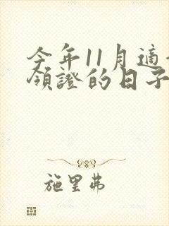 今年11月适合领证的日子