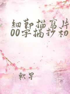 细节描写片段200字摘抄初中