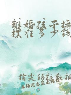 离婚孩子抚养费标准多少钱一个月