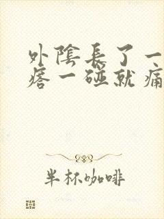 外阴长了一个疙瘩一碰就痛