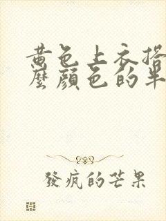 黄色上衣搭配什么颜色的半身裙