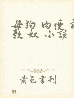 母狗 肉便 调教 奴 小说