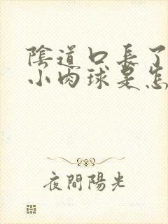 阴道口长了一个小肉球是怎么回事