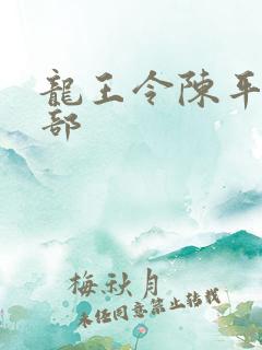 龙王令陈平第二部