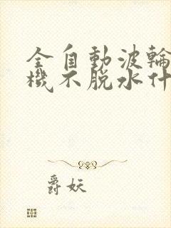 全自动波轮洗衣机不脱水什么原因