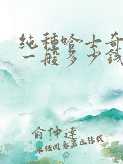 纯种哈士奇幼犬一般多少钱