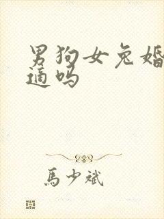 男狗女兔婚姻合适吗