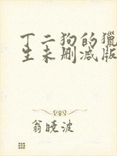 丁二狗的猎艳人生未删减版