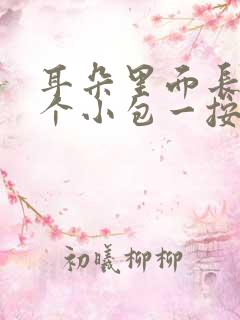 耳朵里面长了一个小包一按就疼