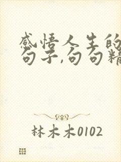 感悟人生的哲理句子,句句精辟