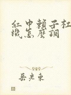 红中赖子杠麻将机怎么调