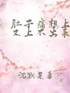 肚子痛想上厕所又上不出来是什么原因