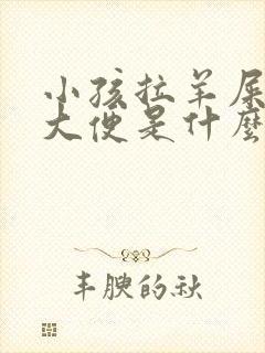 小孩拉羊屎蛋的大便是什么原因