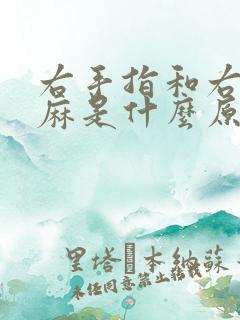 右手指和右脚指麻是什么原因引起的