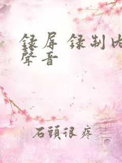 录屏 录制内部声音