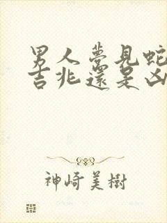 男人梦见蛇咬是吉兆还是凶兆