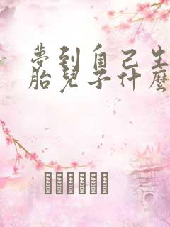 梦到自己生双胞胎儿子什么意思