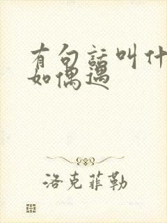 有句话叫什么不如偶遇