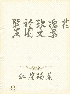 关于玫瑰花的朋友圈文案