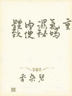 体内湿气重会导致便秘吗